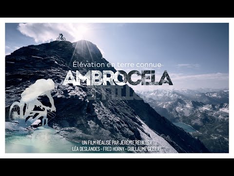 Ambrocela