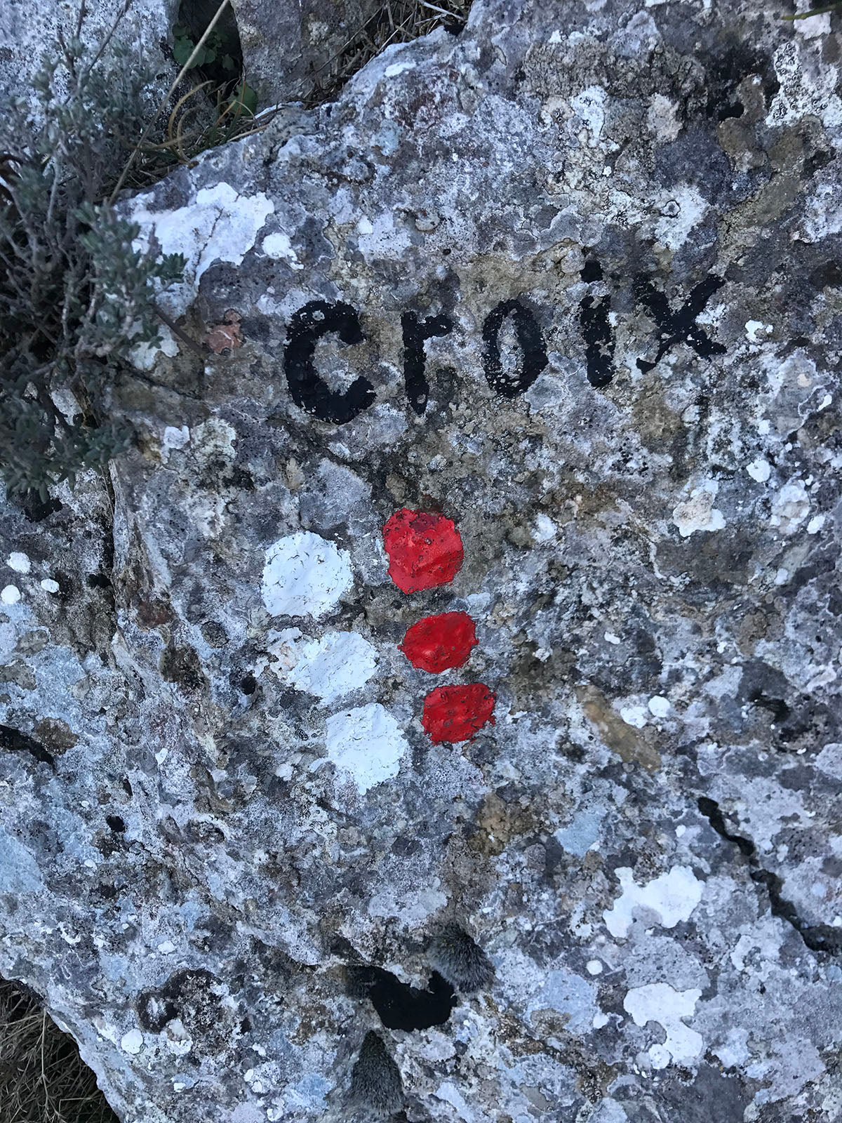 CARTORANDO Hike Sainte-Victoire